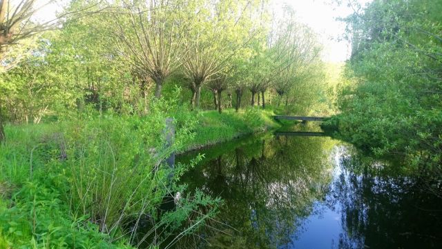 Działka rekreacyjna Glinik Górny Poddział. Zdjęcie 5