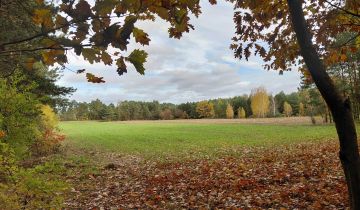 Działka siedliskowa Witkowice
