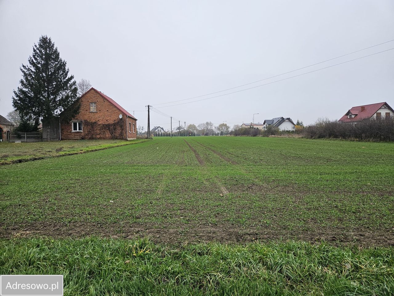 Działka budowlana Żegrówko, ul. Leśna. Zdjęcie 4