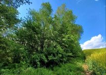 Działka budowlana Pławna Dolna. Zdjęcie 2