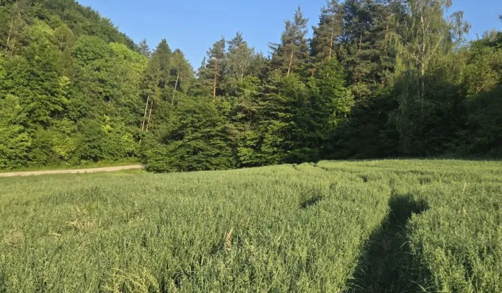 Działka rolno-budowlana Łazy