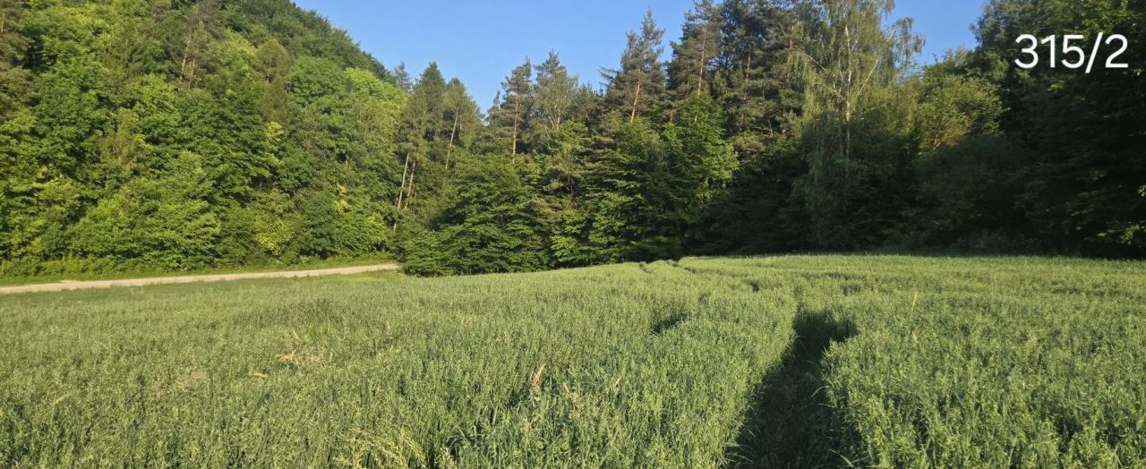 Działka rolno-budowlana Łazy. Zdjęcie 1