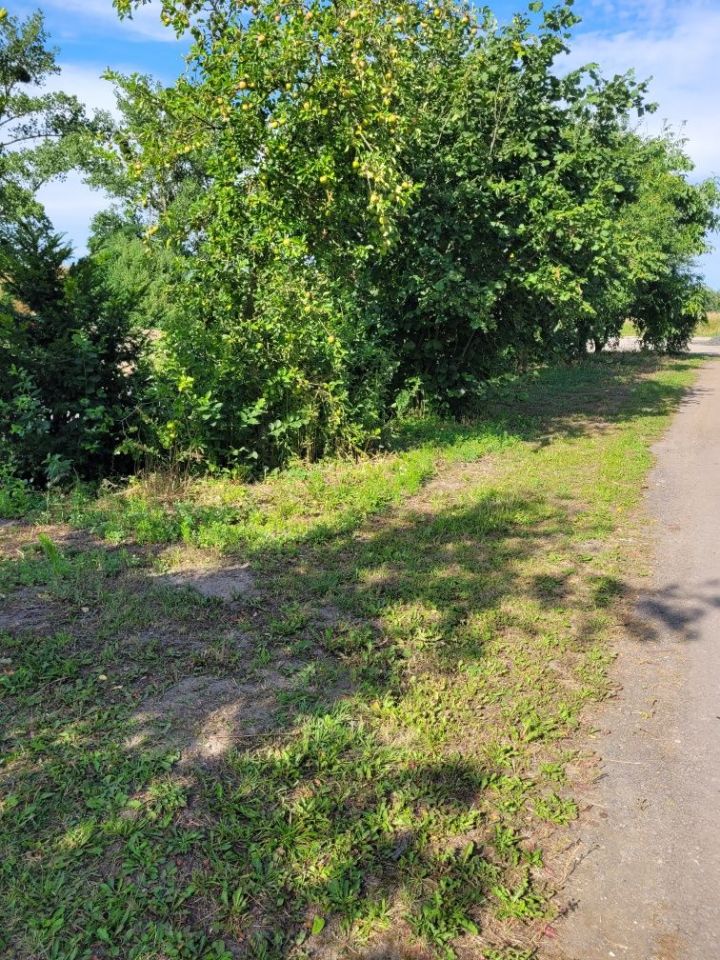 Działka budowlana Nowogard, ul. Radosława. Zdjęcie 1