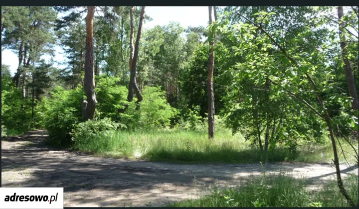 Działka budowlana Józefów Michalin, ul. Rejtana