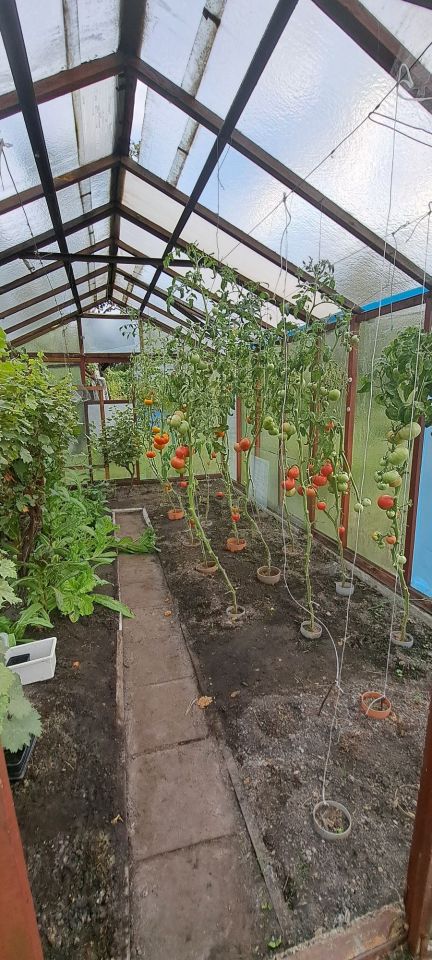 Działka rod Piła, ul. Koszalińska. Zdjęcie 5