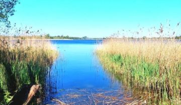 Działka rolno-budowlana Kikół, ul. Nadbrzeżna