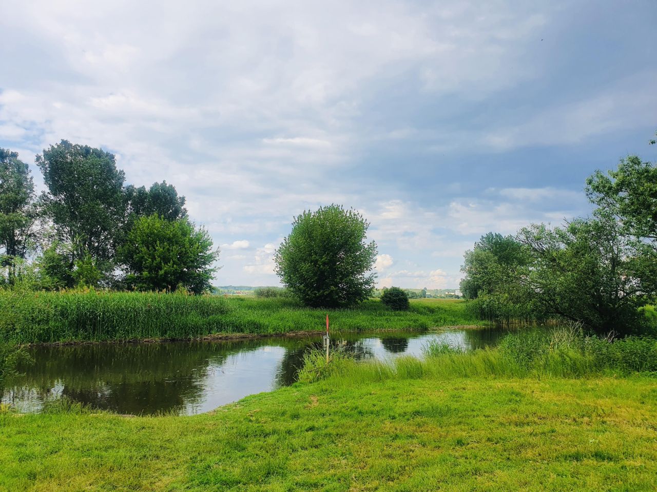dom wolnostojący, 2 pokoje Wojsławice. Zdjęcie 11