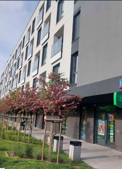 Lokal Warszawa Praga-Południe. Zdjęcie 6