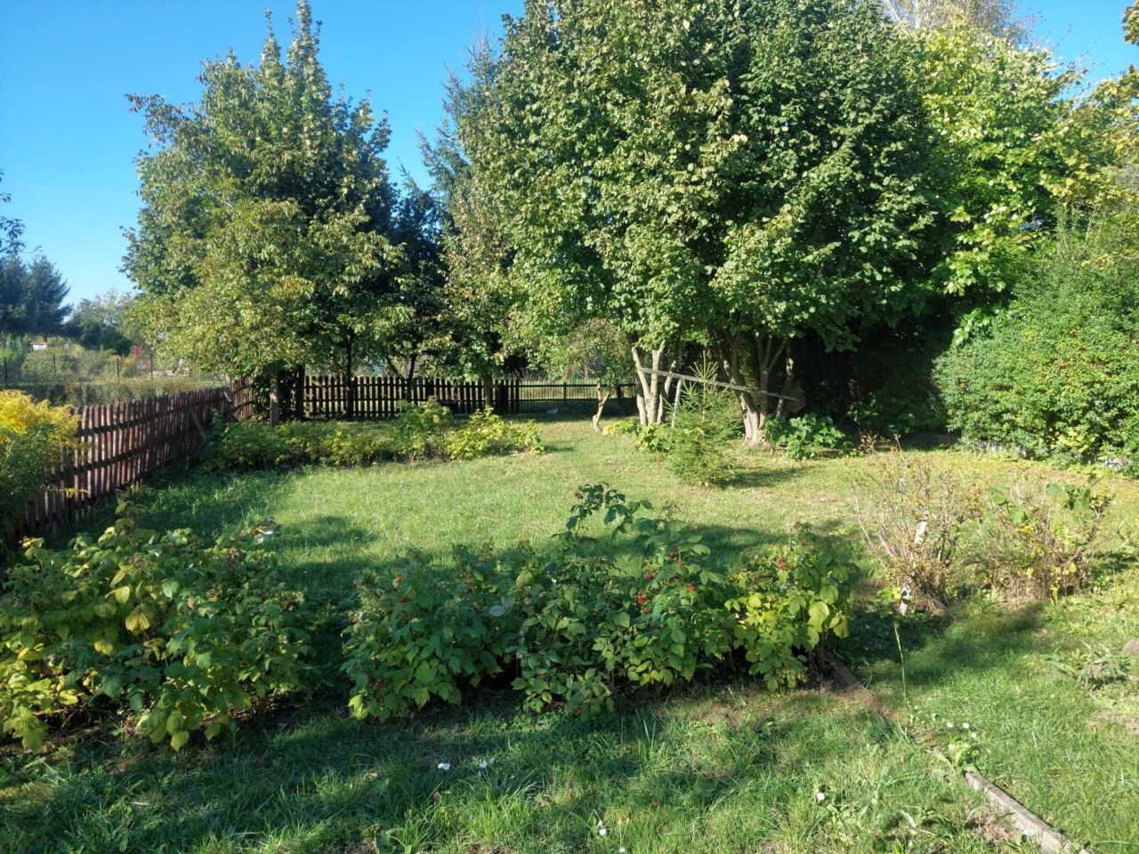 Działka rod Zamość. Zdjęcie 8