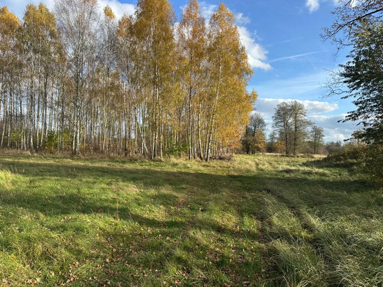 Działka rolna Grabno. Zdjęcie 2