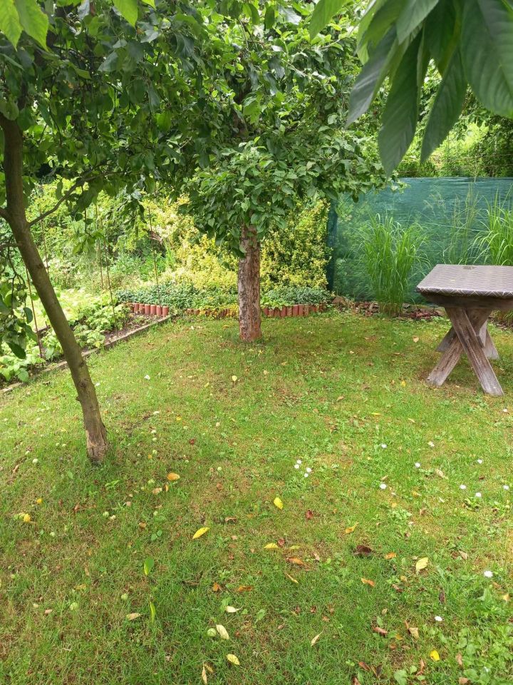 Działka rod Zgierz. Zdjęcie 3