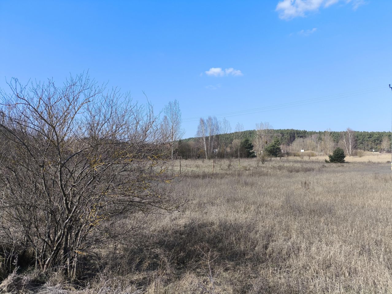 Działka inwestycyjna Płomykowo. Zdjęcie 5