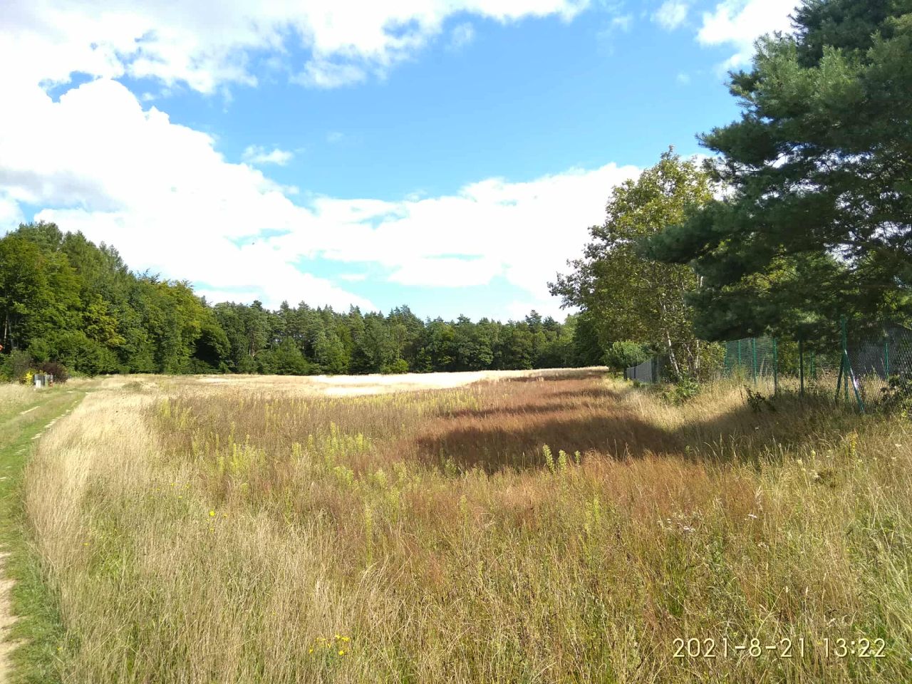 Działka rolna Domatowo, ul. Sowi Las. Zdjęcie 4