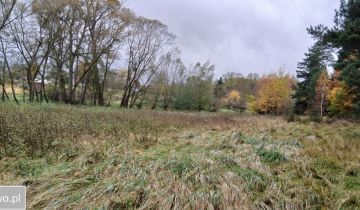 Działka rolno-budowlana Krzęcin