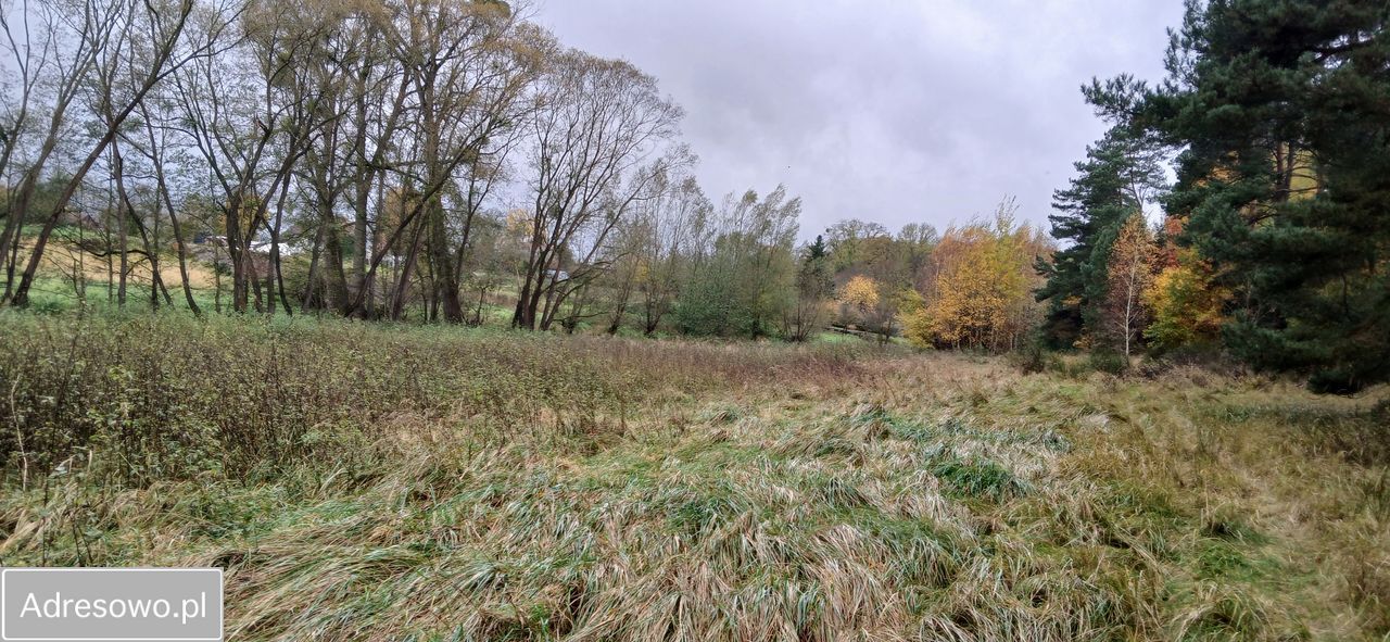 Działka rolno-budowlana Krzęcin. Zdjęcie 2
