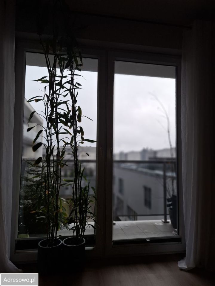 Mieszkanie 3-pokojowe Poznań Grunwald, ul. Kamiennogórska. Zdjęcie 15