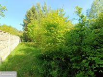 Działka Stara Wieś. Zdjęcie 3