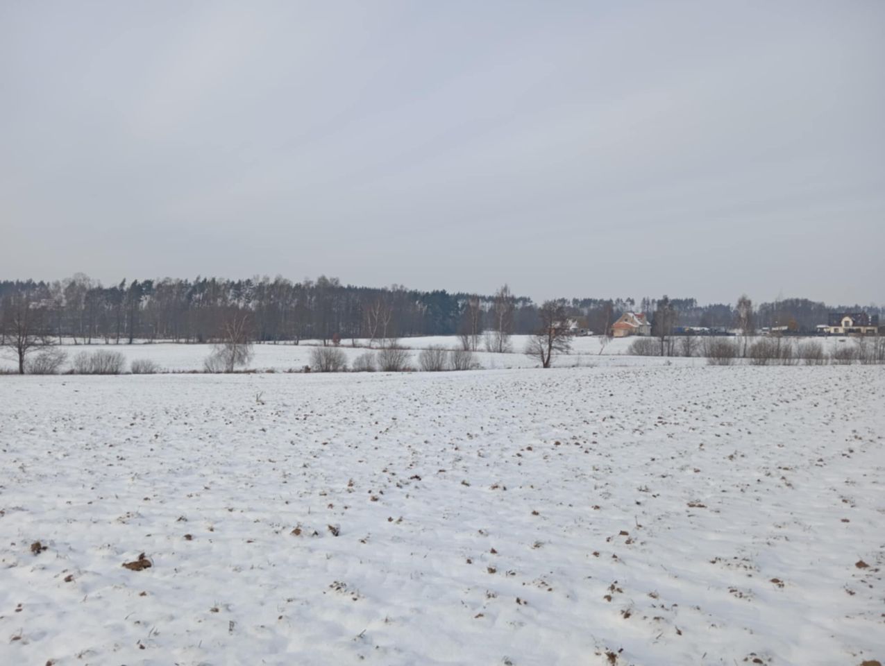 Działka rolno-budowlana Żalno, ul. Dworcowa. Zdjęcie 3