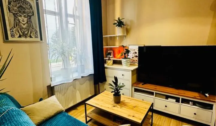 Mieszkanie 1-pokojowe Gliwice, ul. Pszczyńska