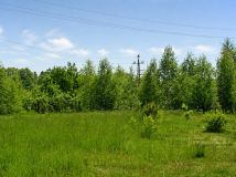 Działka inwestycyjna Wiewiórczyn, ul. Wincentego Witosa. Zdjęcie 2