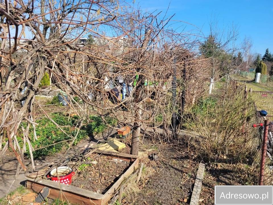 Działka rod Wrocław Ołbin, ul. Ignacego Daszyńskiego. Zdjęcie 4