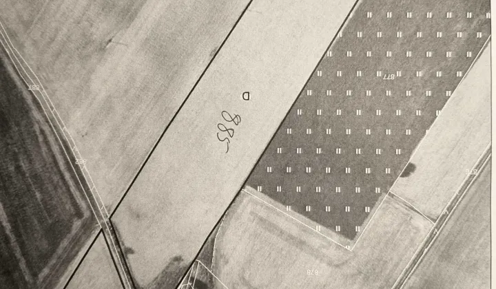 Działka rolna Pisarzowice