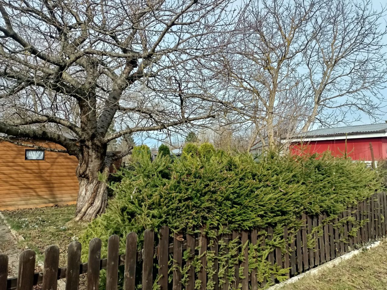 Działka rod Słupsk, ul. Stefana Banacha. Zdjęcie 3