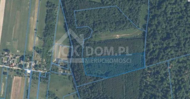 Działka rolna Cisów. Zdjęcie 6