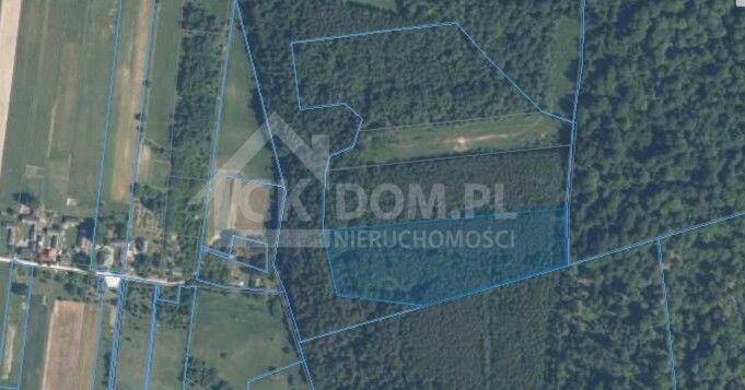 Działka rolna Cisów. Zdjęcie 6