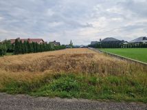 Działka budowlana Kalinowice. Zdjęcie 1