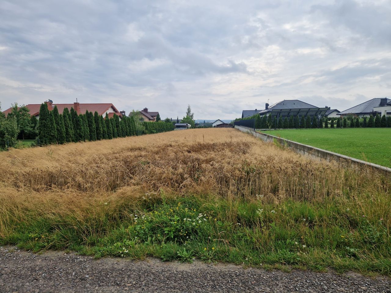 Działka budowlana Kalinowice. Zdjęcie 2