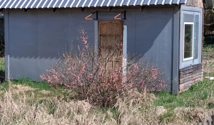 Działka rod Międzychód