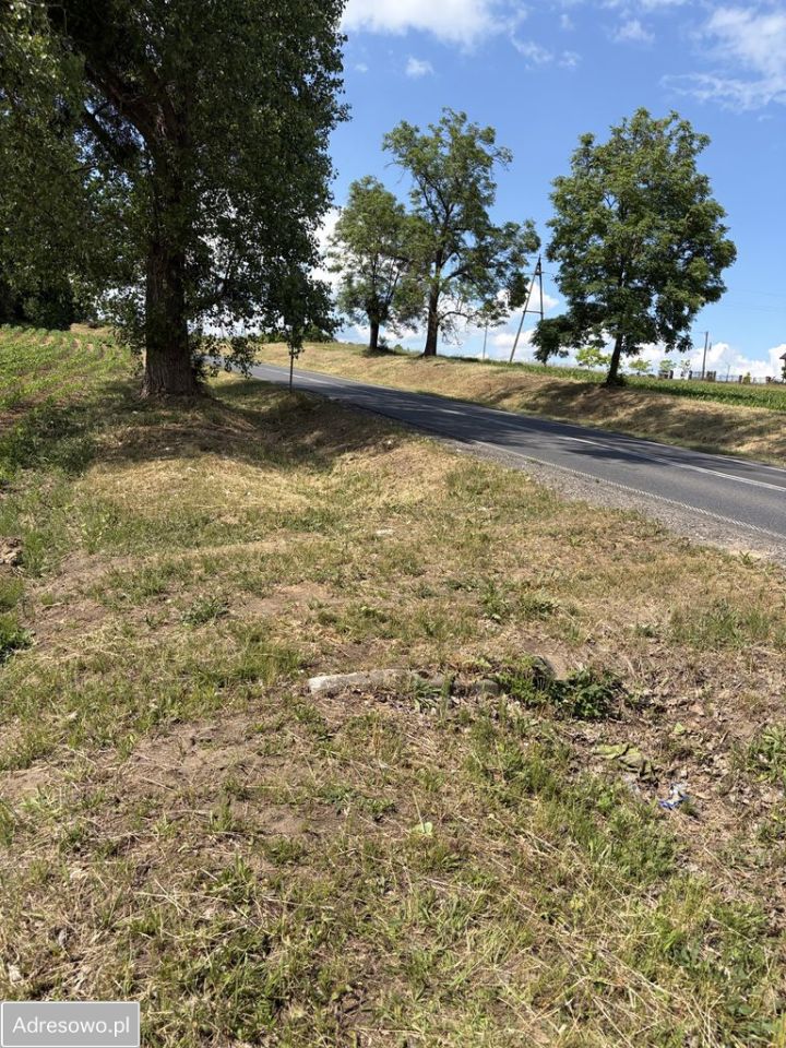 Działka budowlana Starorypin Rządowy. Zdjęcie 7