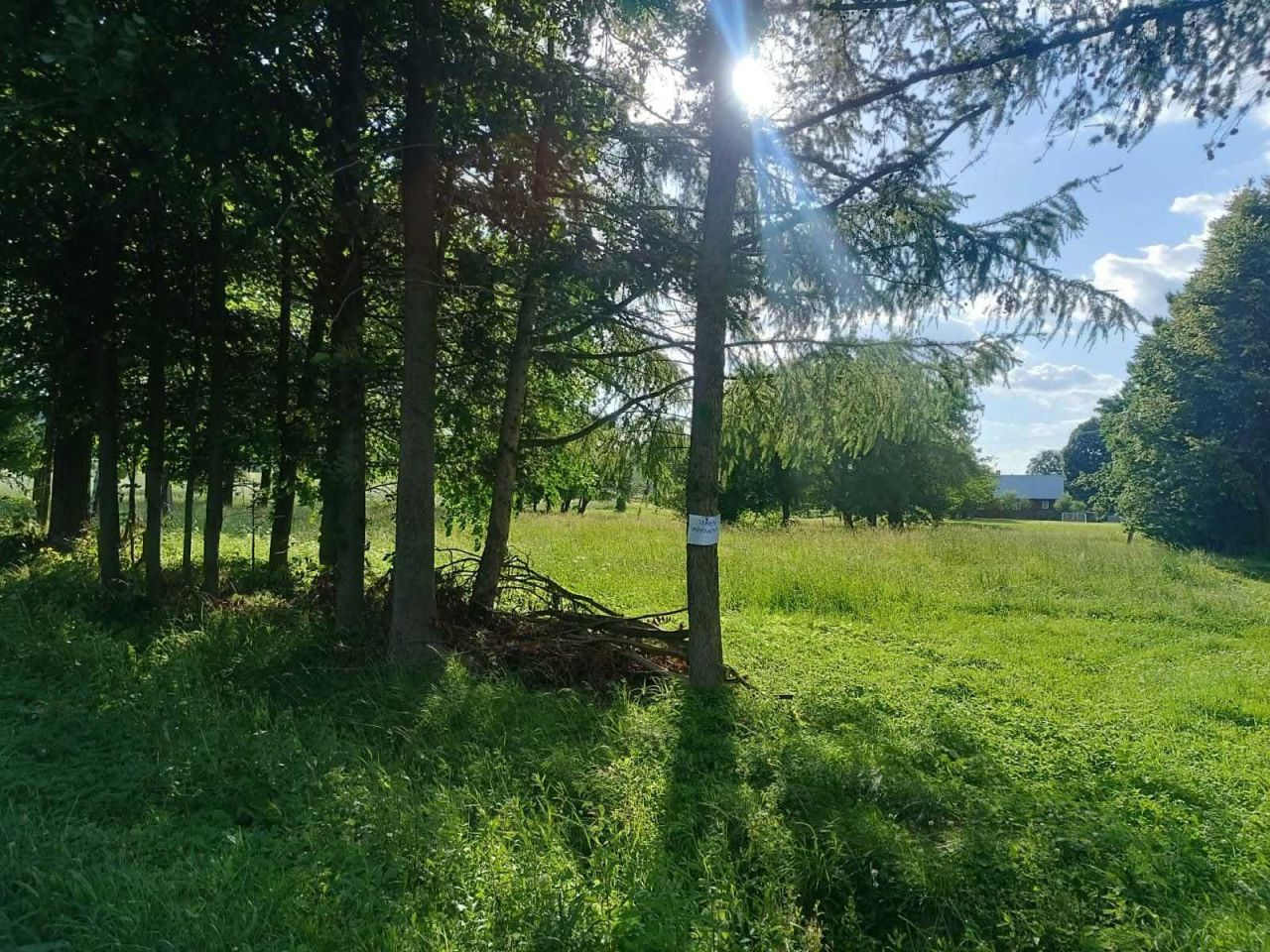 Działka rolno-budowlana Niebieszczany. Zdjęcie 1