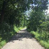 Działka inna Minoga. Zdjęcie 4