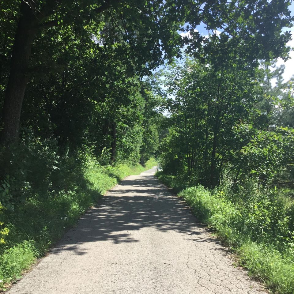 Działka inna Minoga. Zdjęcie 5