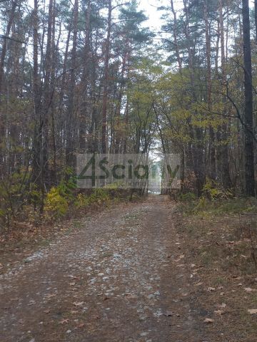 Działka leśna Sękocin-Las. Zdjęcie 6