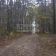 Działka leśna Sękocin-Las. Zdjęcie 6