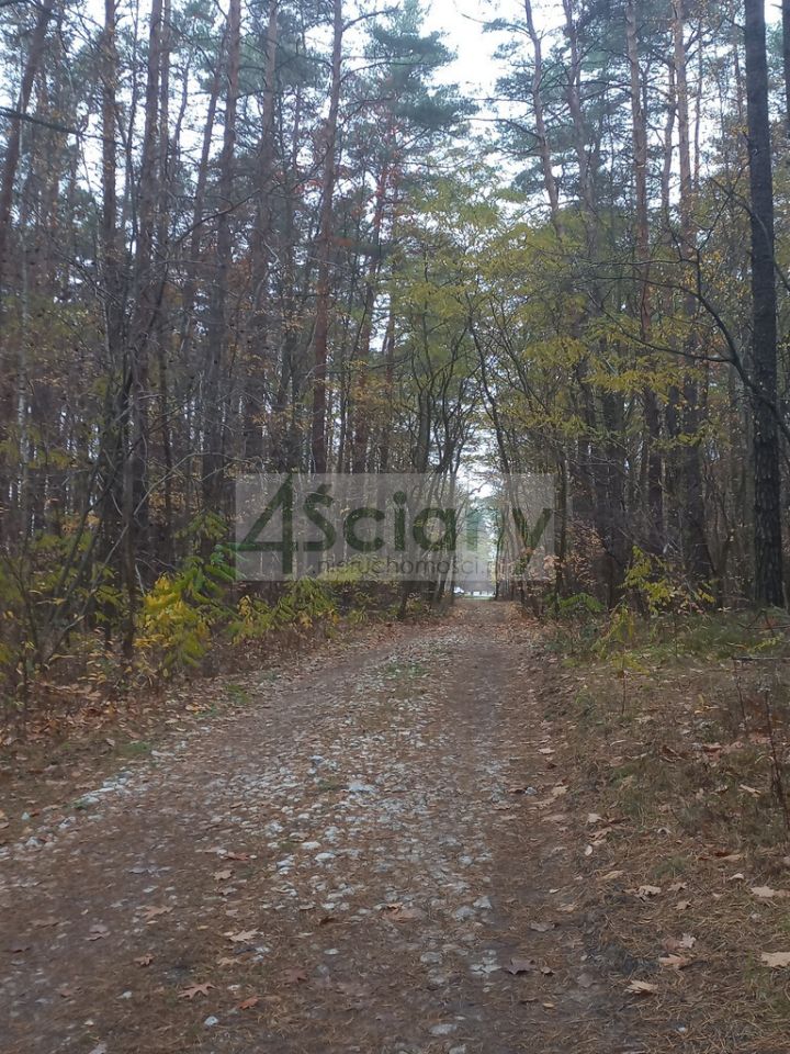 Działka leśna Sękocin-Las. Zdjęcie 6