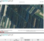 Działka leśna Mierzwin. Zdjęcie 1