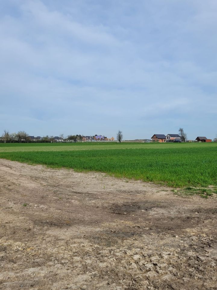 Działka budowlana Strykowo, ul. Spacerowa. Zdjęcie 8