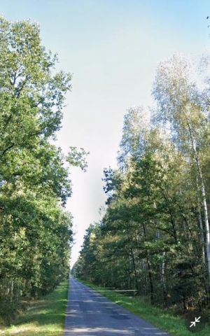 Działka leśna Dąbek. Zdjęcie 1