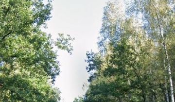 Działka leśna Dąbek