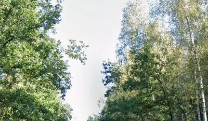 Działka leśna Dąbek