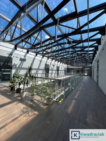 Lokal Krosno, ul. Żwirki i Wigury. Zdjęcie 6