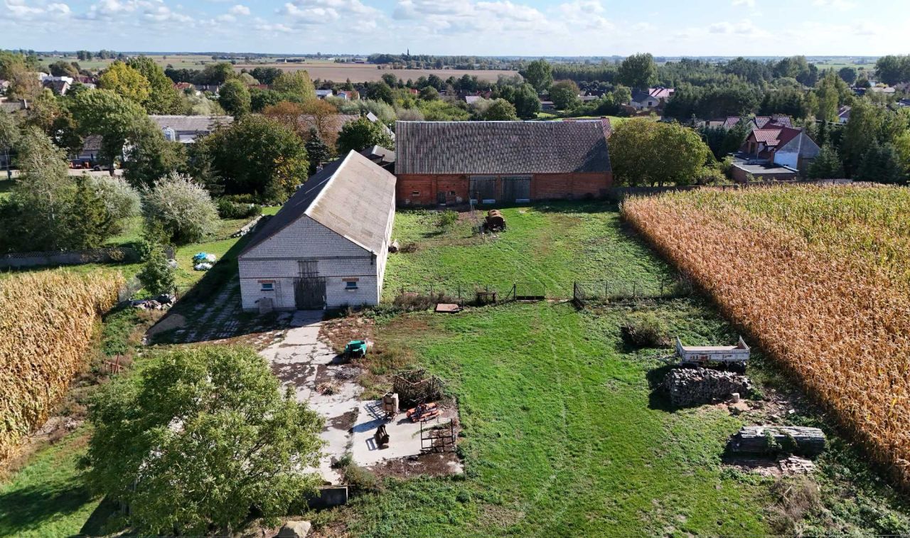 gospodarstwo Łopienno. Zdjęcie 4