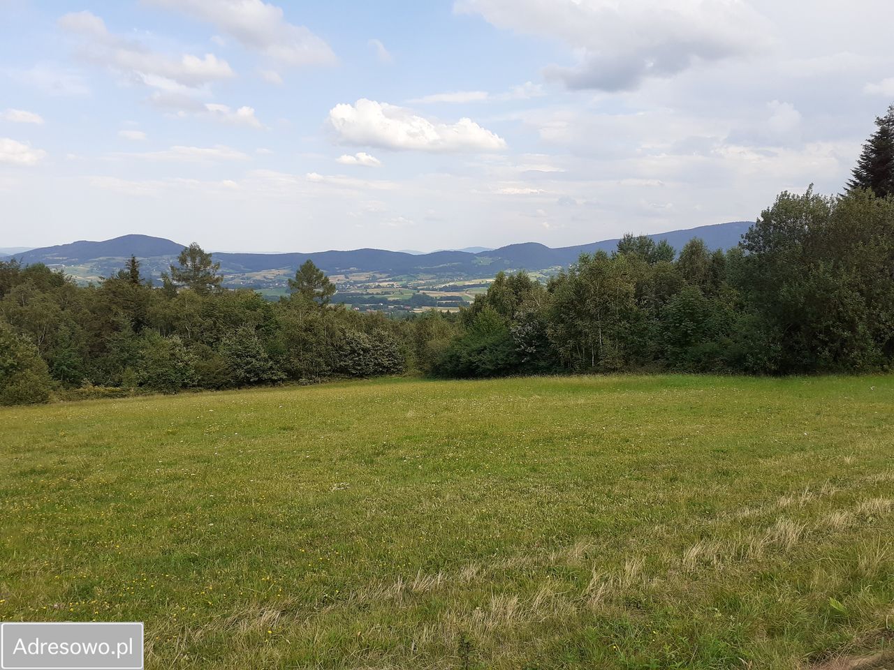 Działka inwestycyjna Lipnik. Zdjęcie 9