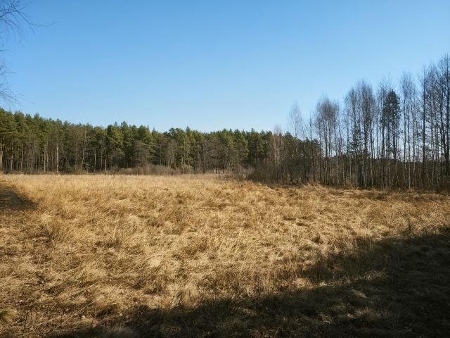 Działka budowlana Borucza Paluchy. Zdjęcie 3