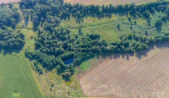 Działka rolno-budowlana Gołębiewo