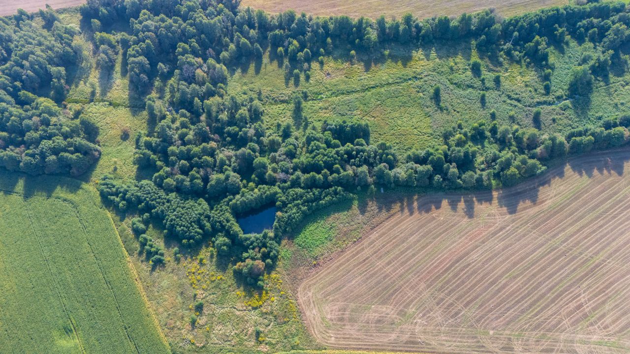 Działka rolno-budowlana Gołębiewo. Zdjęcie 1